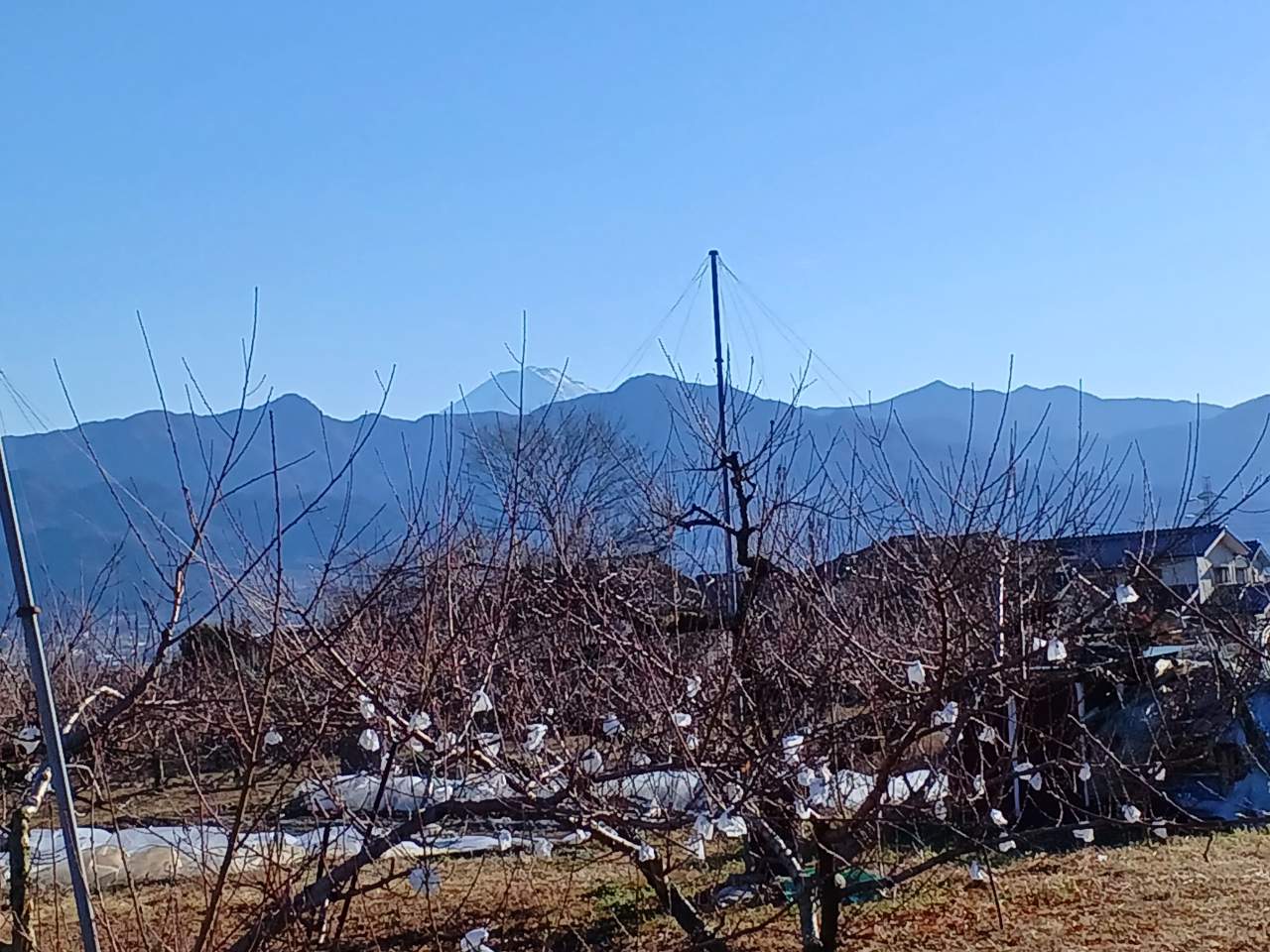 東やまなし墓苑