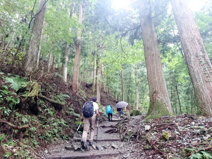 七面山　登山道