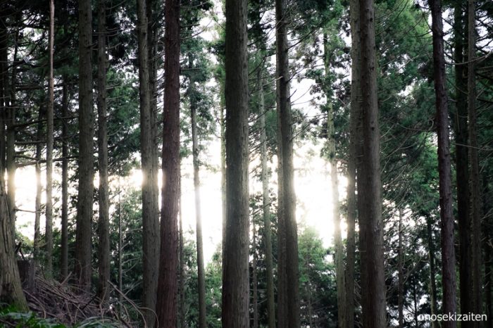 身延山　表参道