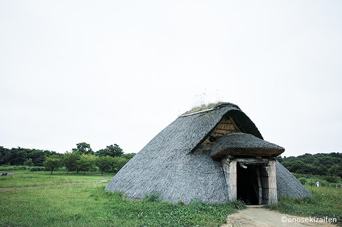 三内丸山遺跡　竪穴住居跡