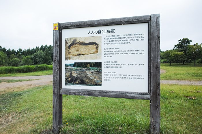 三内丸山遺跡　土壙墓 案内看板