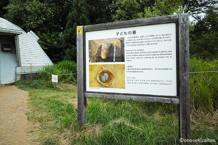 三内丸山遺跡　子供の墓