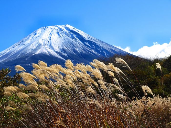 冠雪の富士山