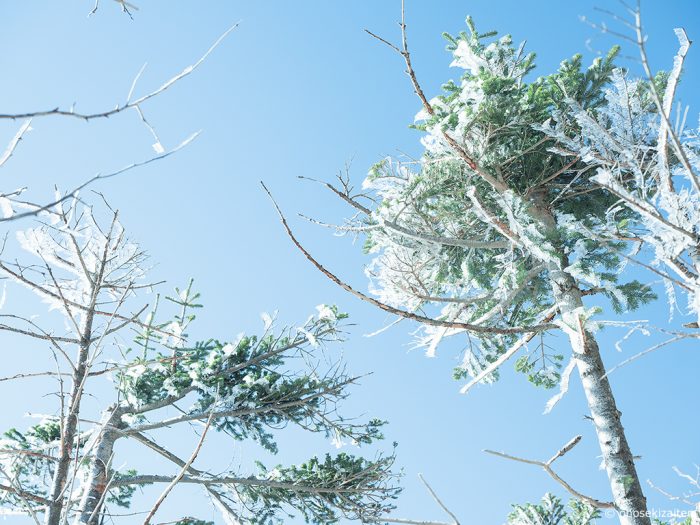 金峰山で年始広告の撮影［小野石材店］