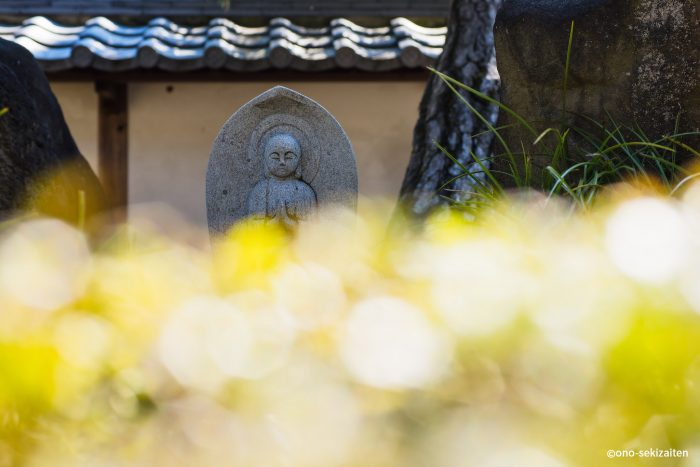 ［春のお彼岸］こんなときこそお墓参り。〜楽しくて前向きな日々を過ごすために。