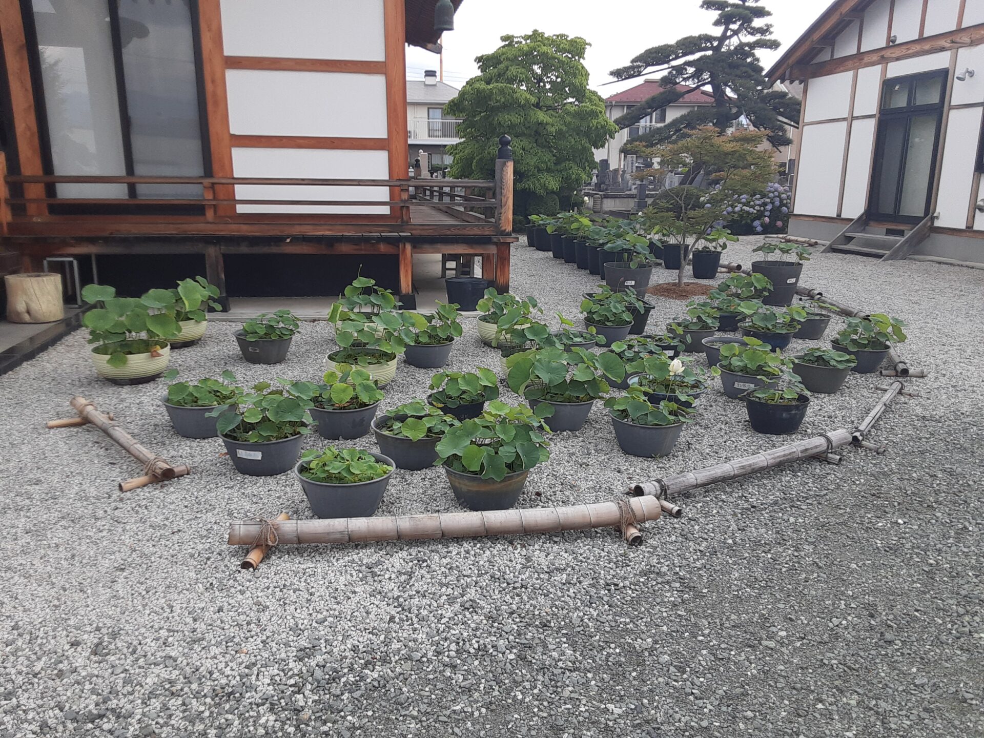 万徳山　円満寺