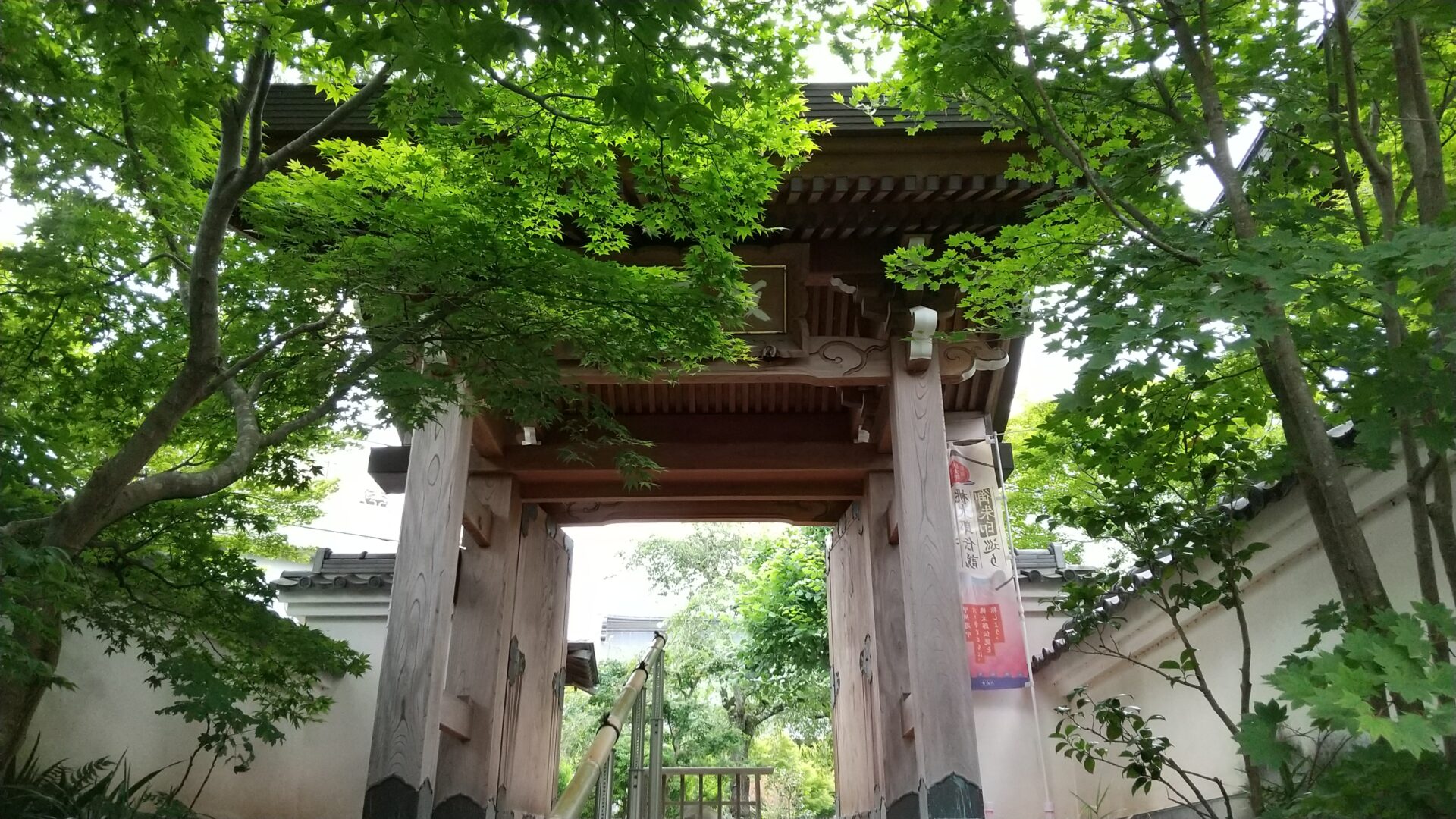 飯盛山　青苔寺