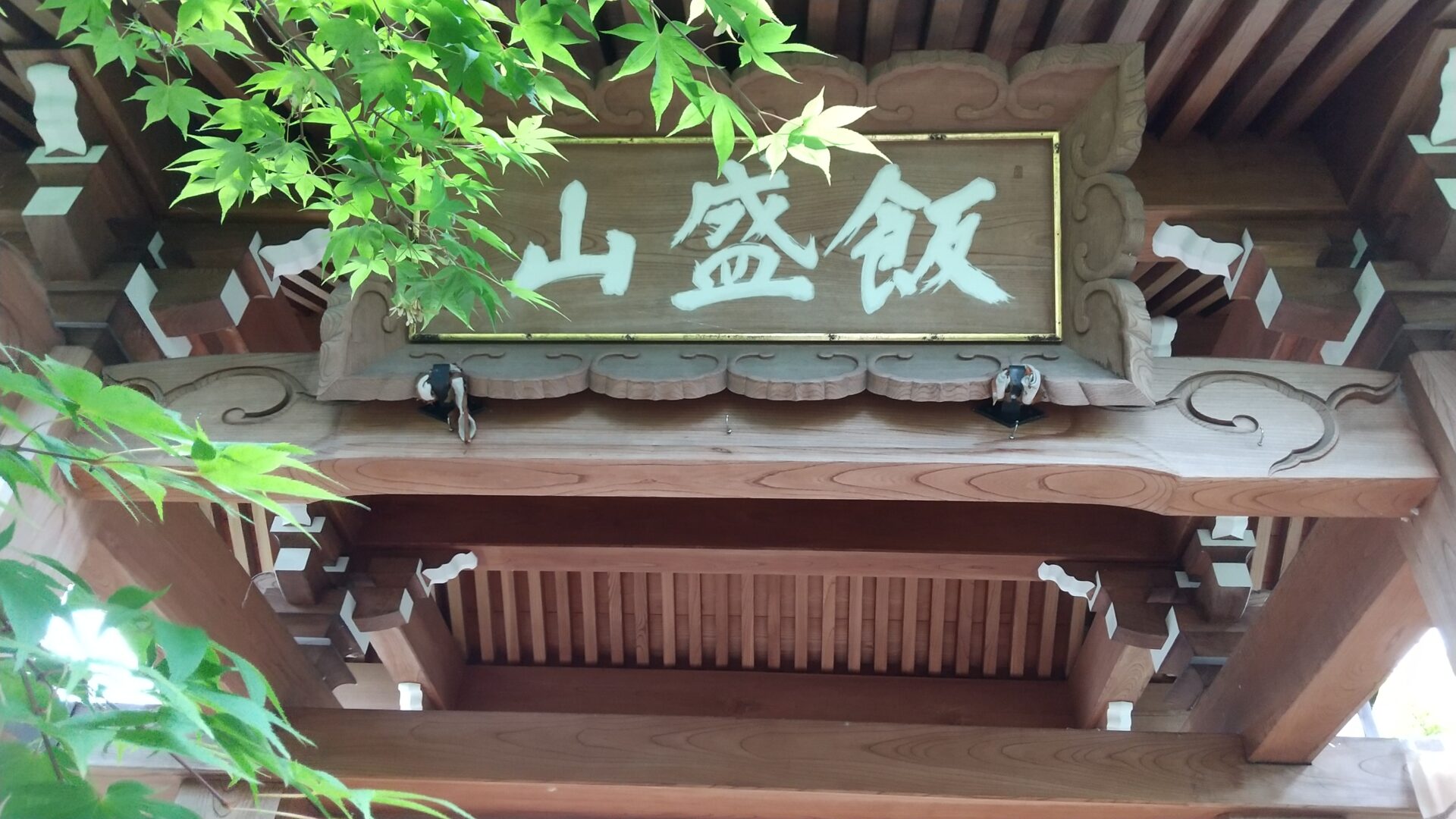 飯盛山　青苔寺