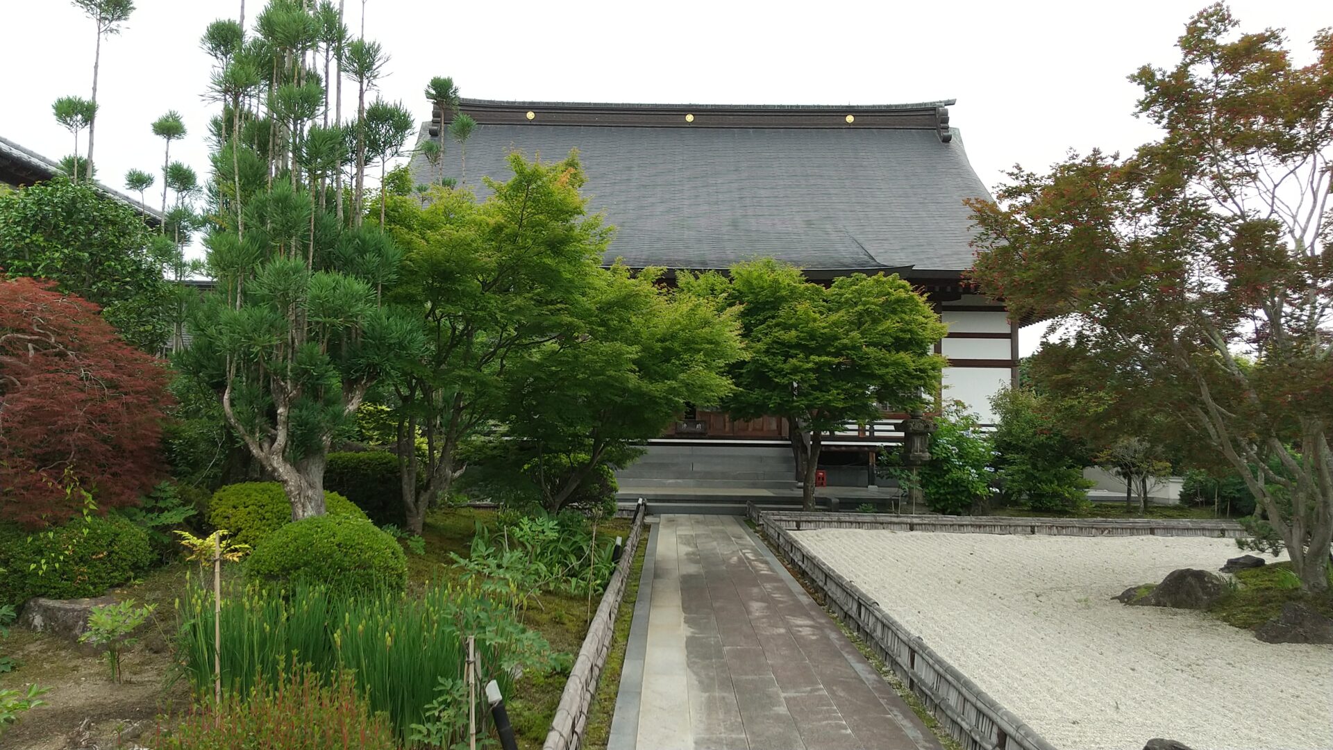 飯盛山　青苔寺