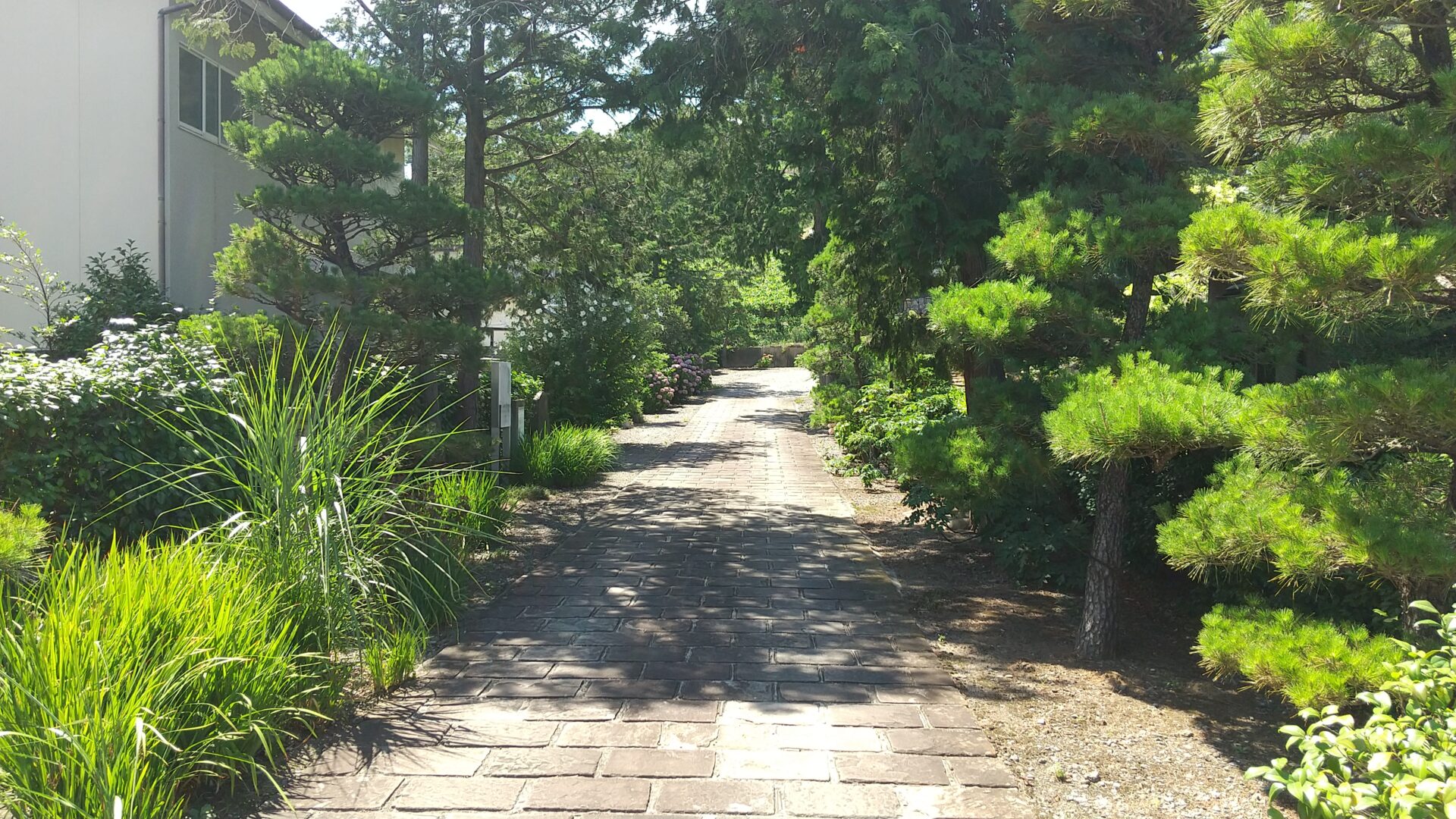 定林山　能成寺