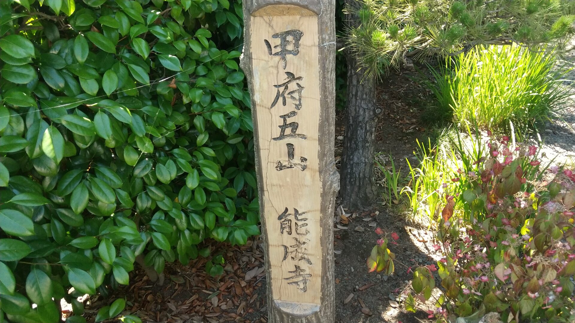 定林山　能成寺