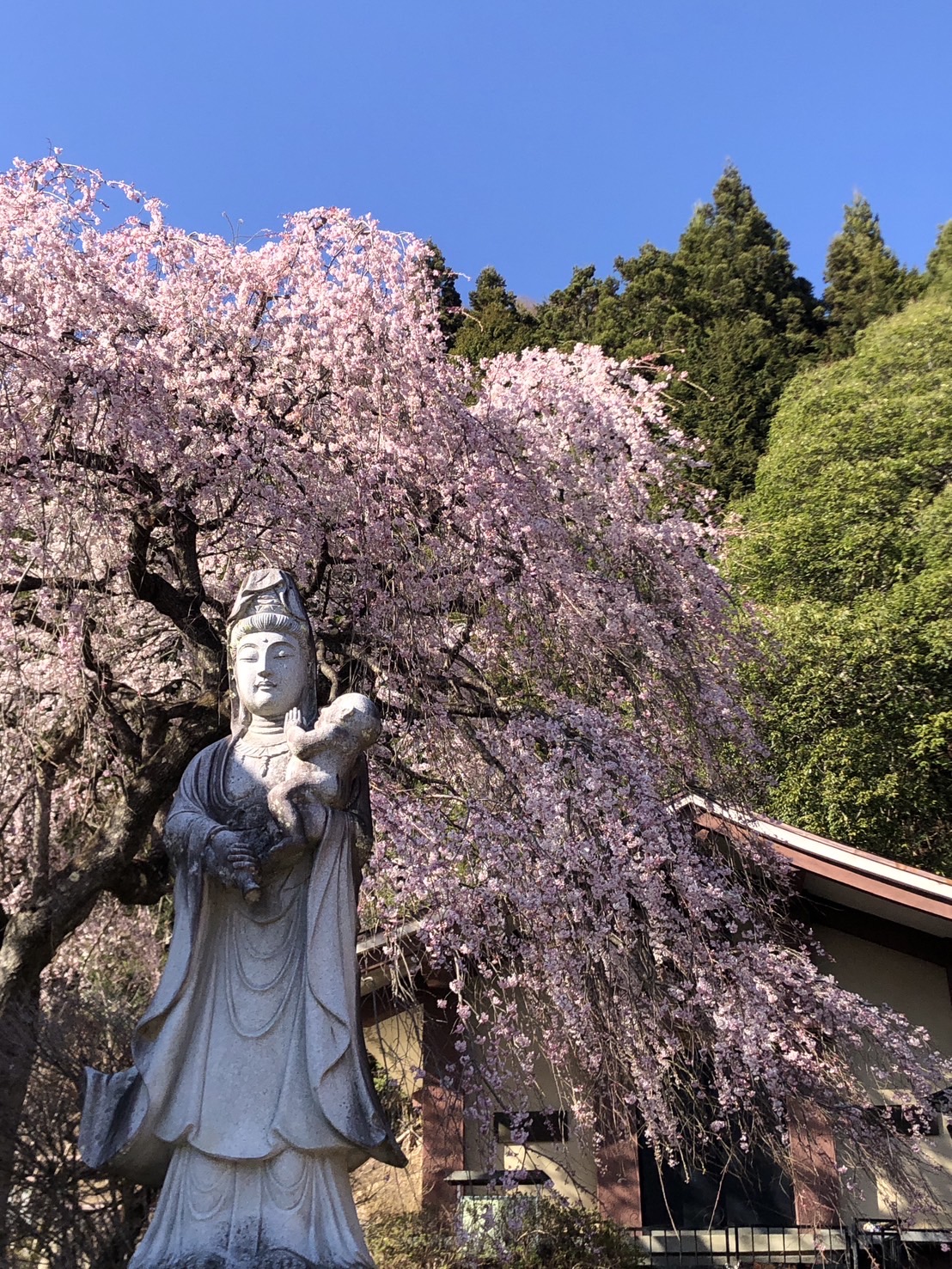 やまと天目山墓苑