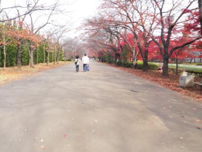 ヴァンフォーレ甲府の応援・小瀬スポーツ公園内の紅葉