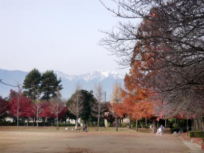 ヴァンフォーレ甲府の応援・小瀬スポーツ公園から南アルプスを望む