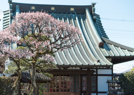 春のお彼岸（小野石材店）