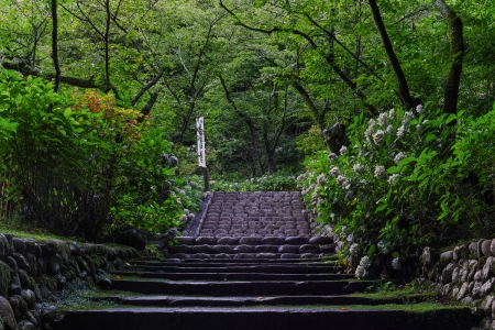 法多山尊永寺　万灯祭　［山梨 小野石材店］