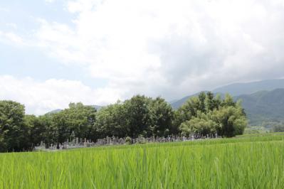 願成寺・田園風景の中の墓地を遠目に