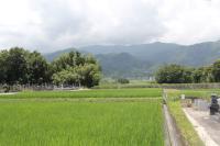 願成寺・田園風景の中の墓地へ近づくのだ　徒歩で